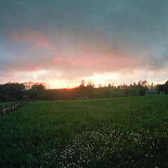 Field at Sunset